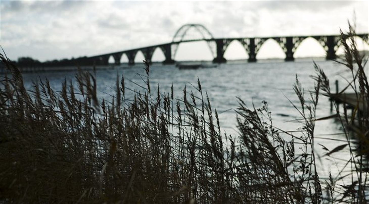 Valg af betontype til konstruktioner i havvand